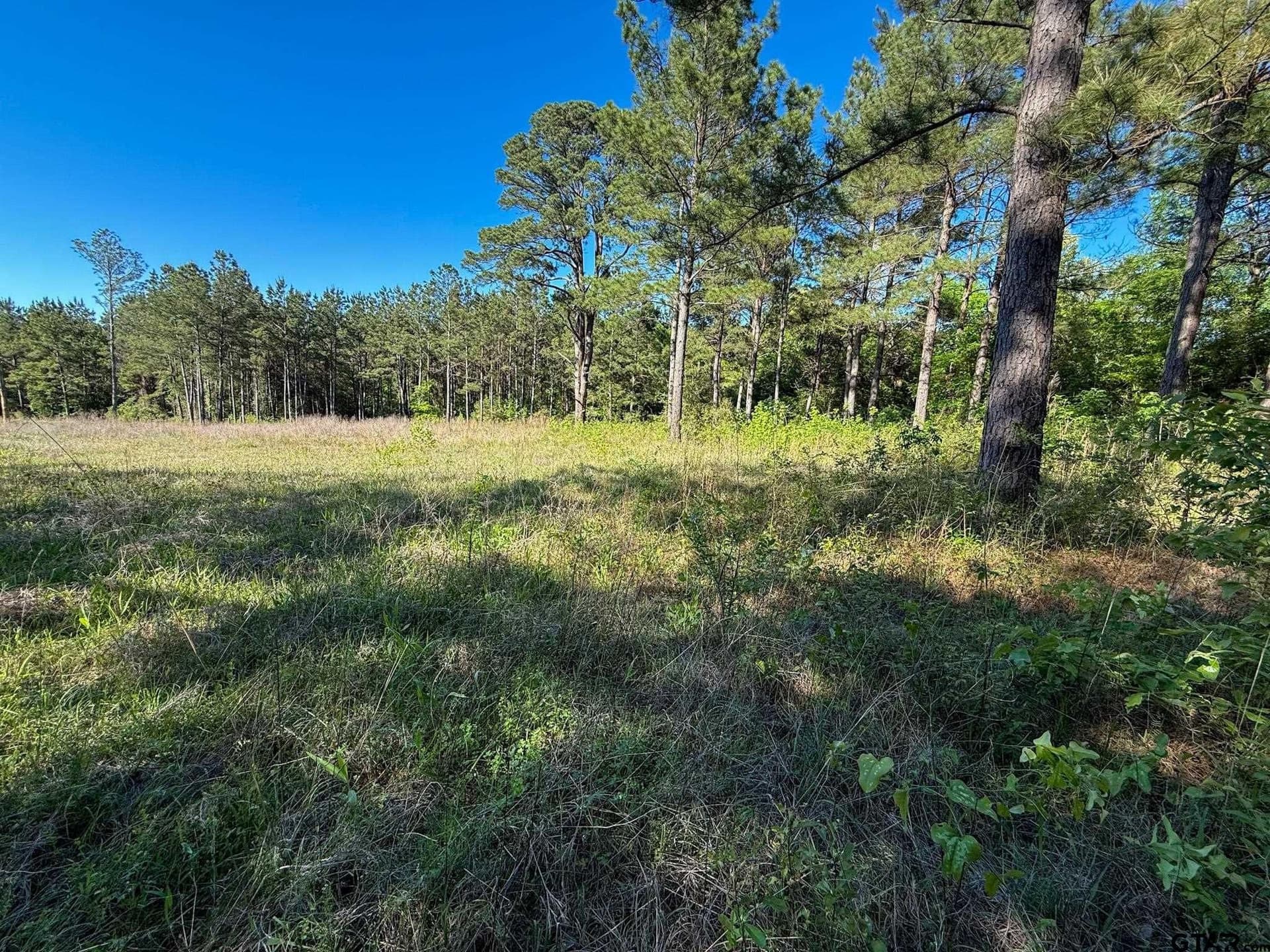 5.11 acres in Cherokee County gallery image 2