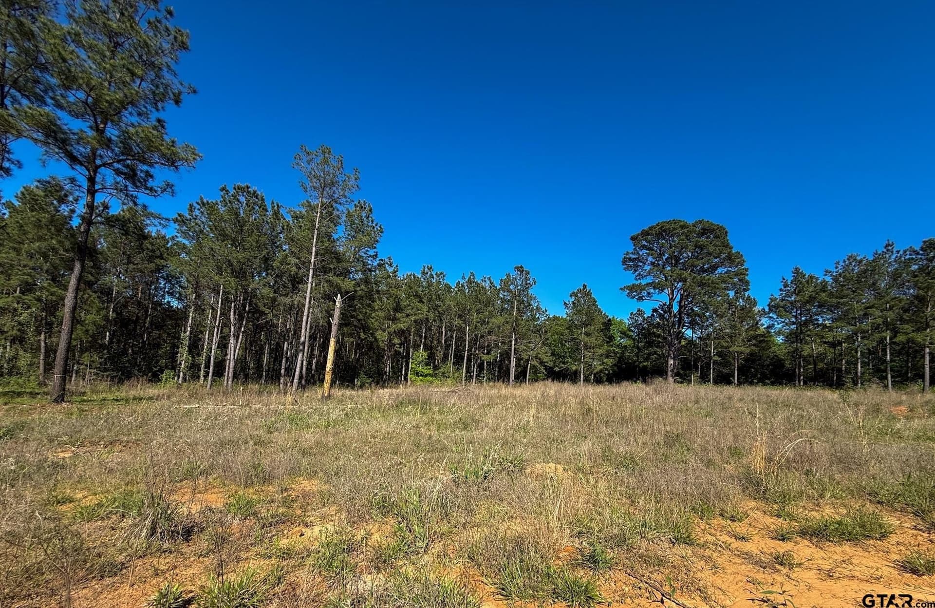 5.11 acres in Cherokee County featured view
