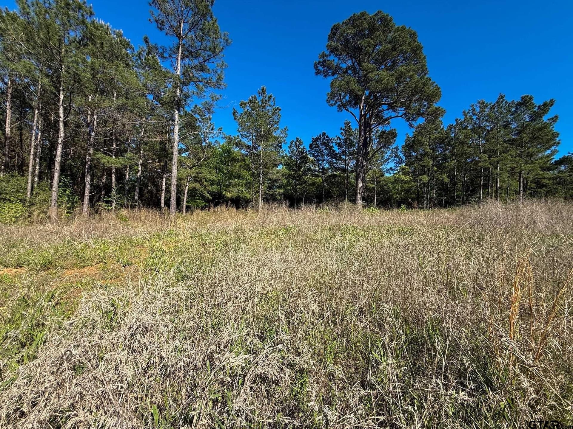 5.11 acres in Cherokee County gallery image 4