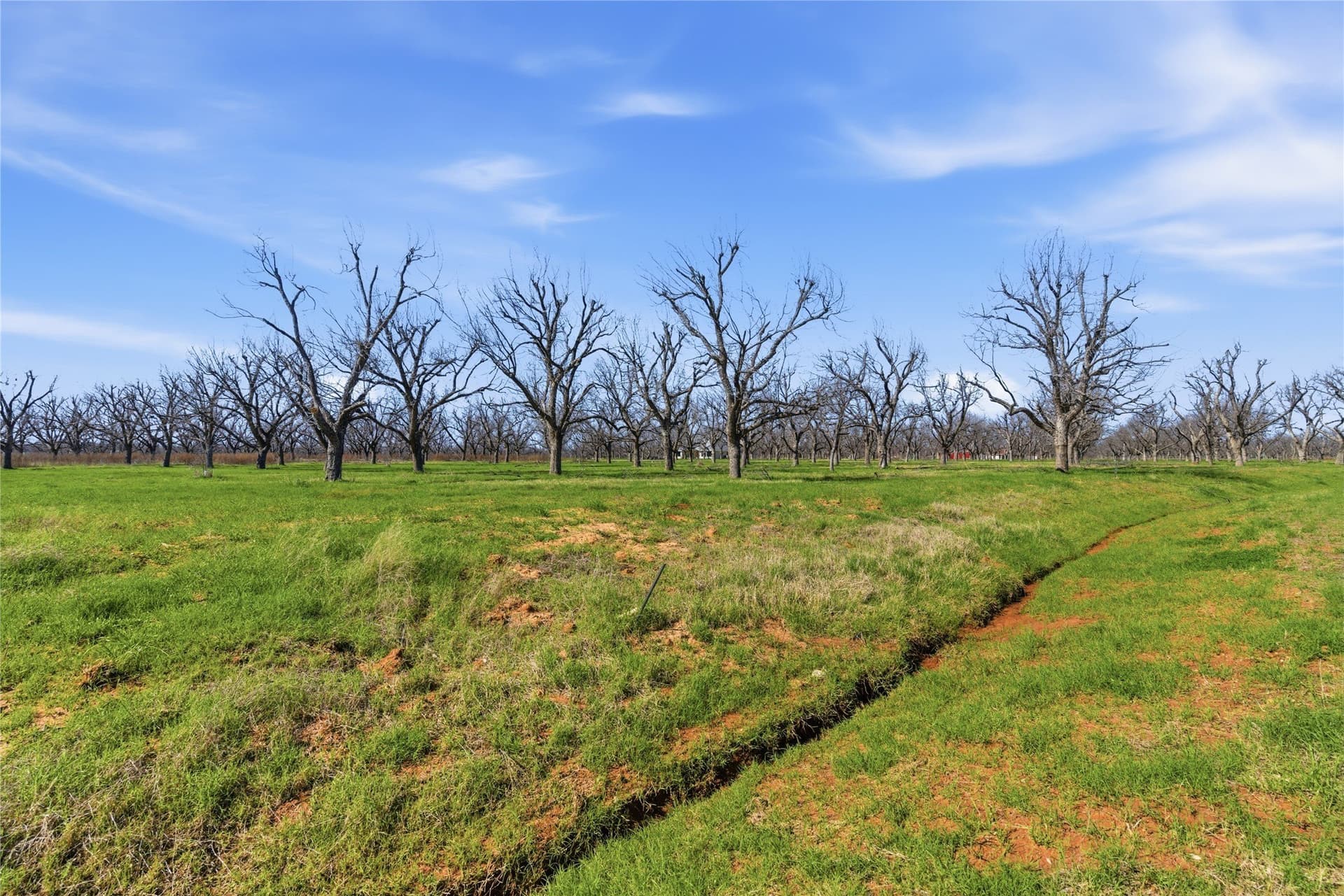 1.61 acres in Hood County - photo 5