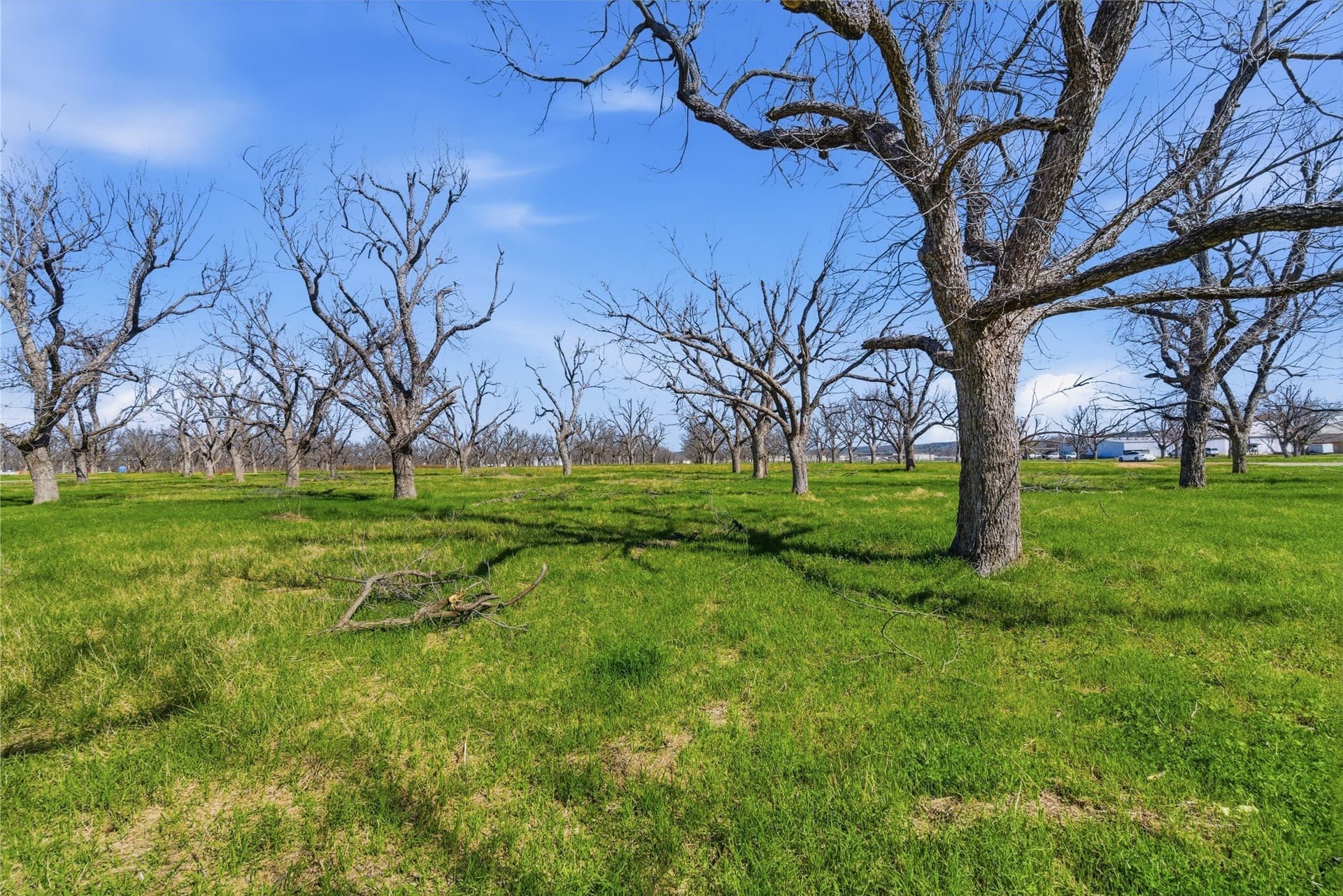 1.61 acres in Hood County - photo 10