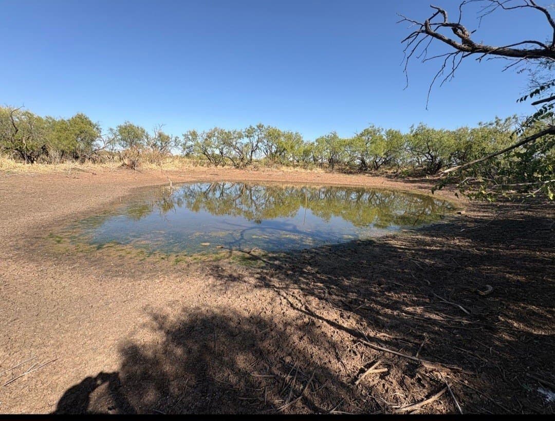 158.5 acres in Fisher County gallery image 4