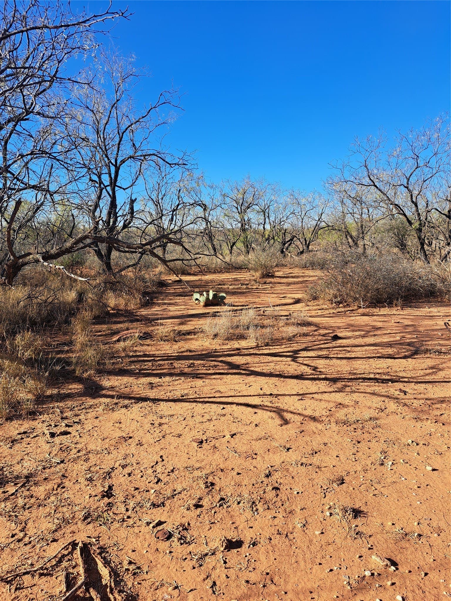 158.5 acres in Fisher County - photo 21