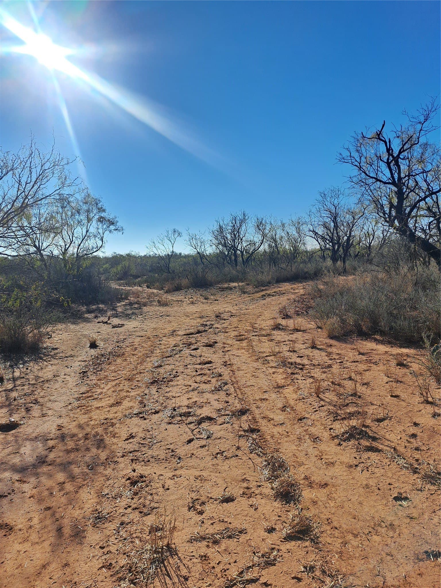 158.5 acres in Fisher County - photo 19
