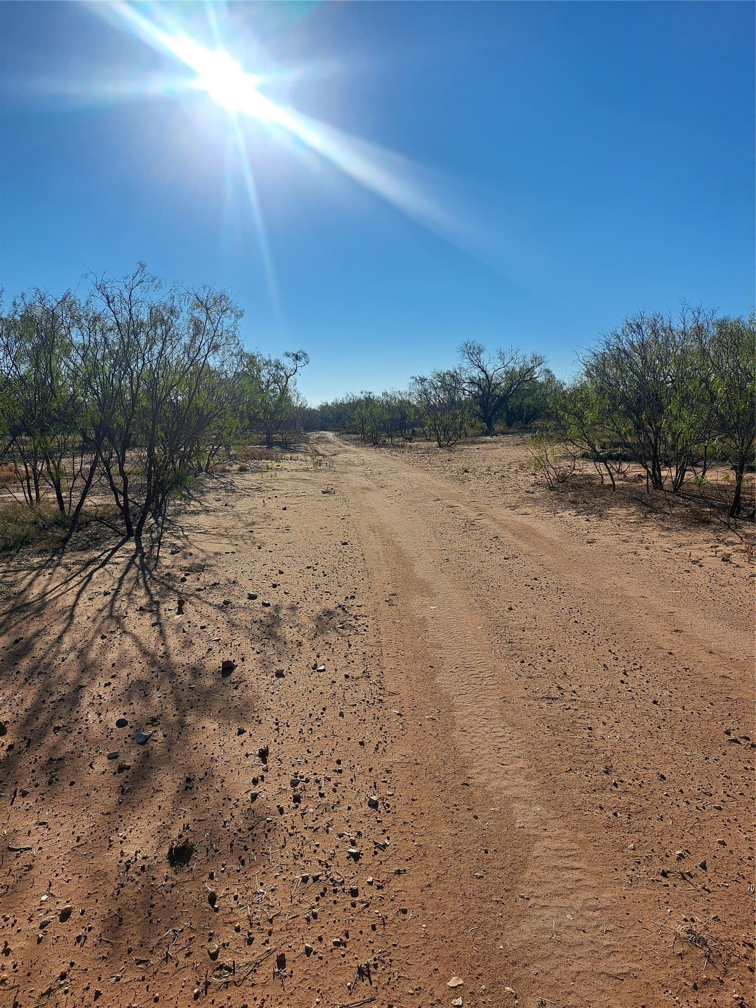 158.5 acres in Fisher County - photo 13