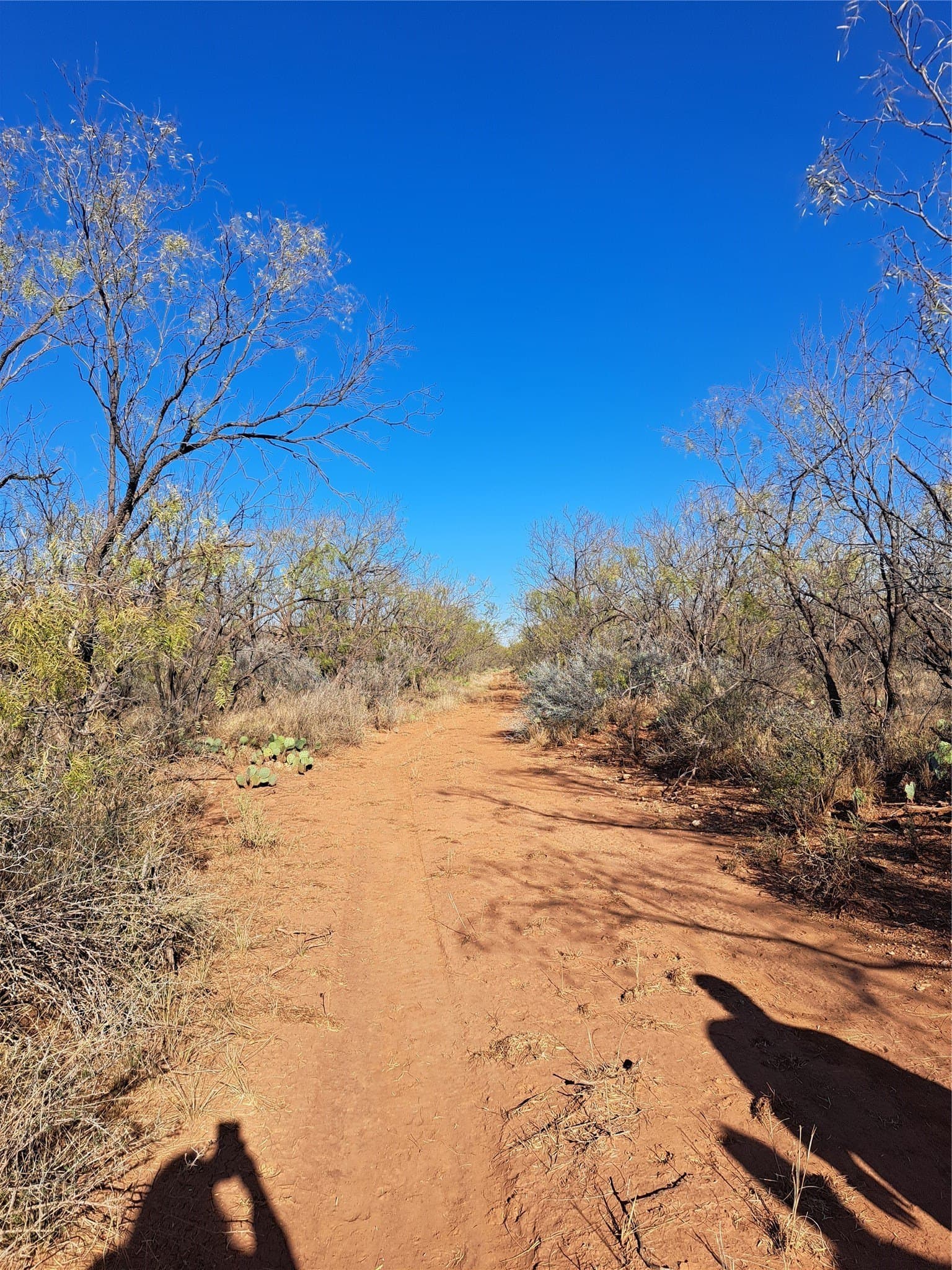 158.5 acres in Fisher County - photo 12