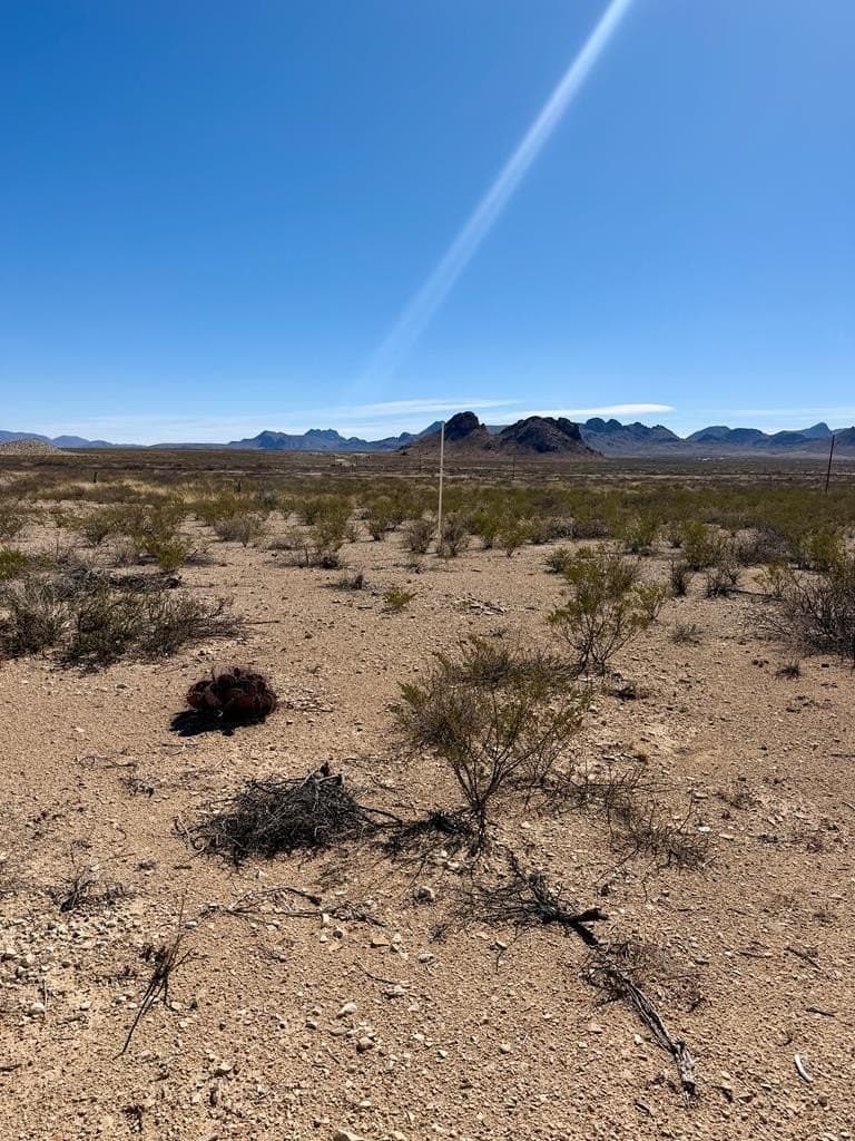 20 acres in Brewster County gallery image 2