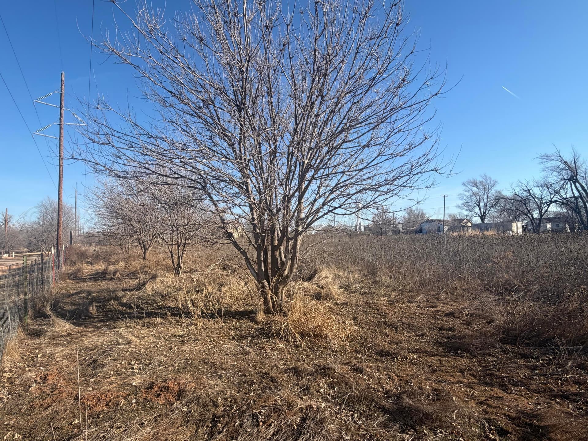 0 acres in Texas County gallery image 2