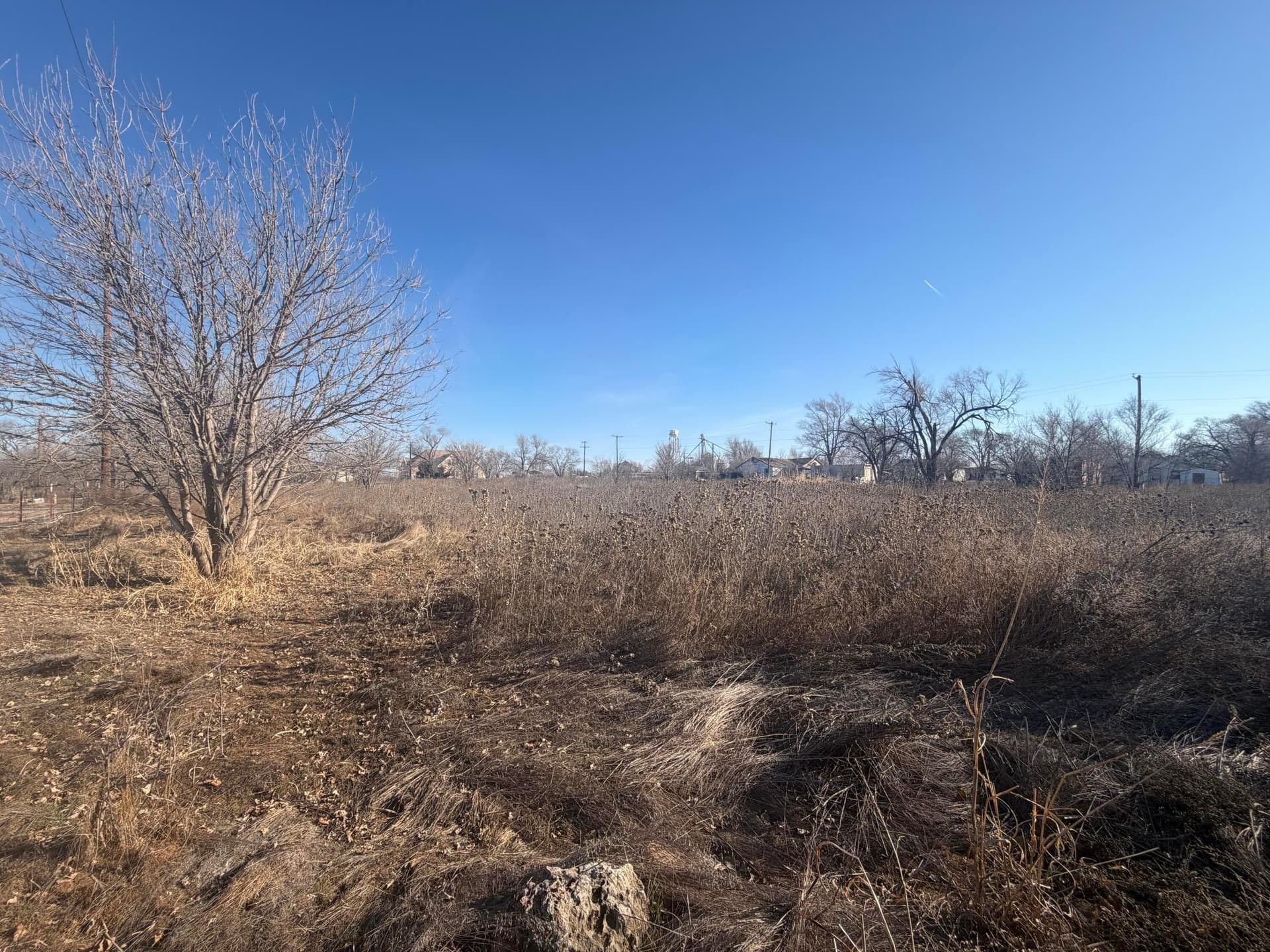 0 acres in Texas County gallery image 4