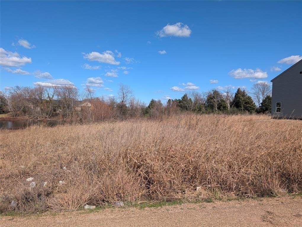 0.82 acres in Henderson County gallery image 4