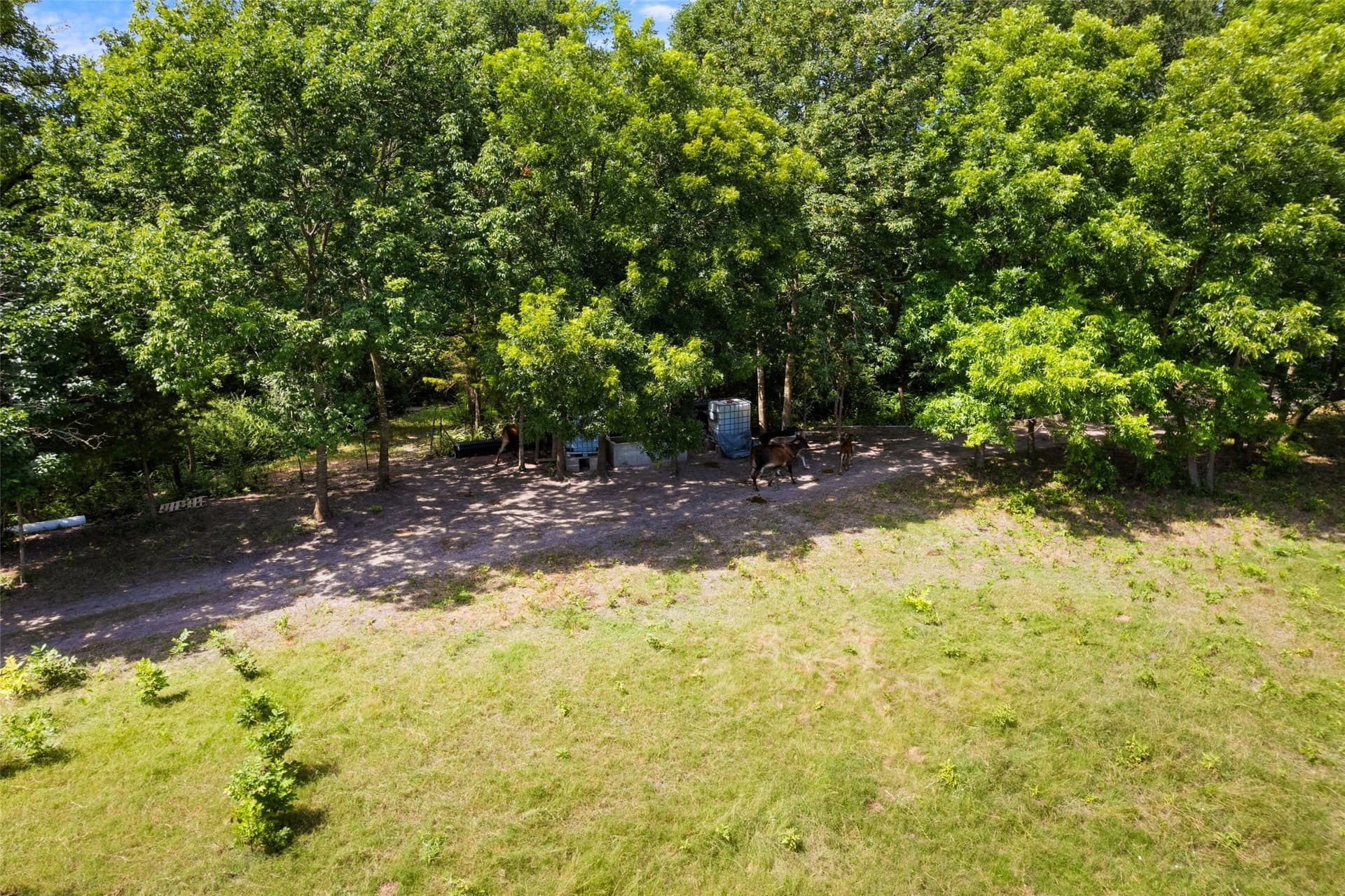 9.98 acres in Dallas County - photo 8