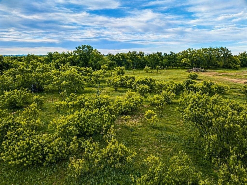 3.21 acres in Parker County featured view