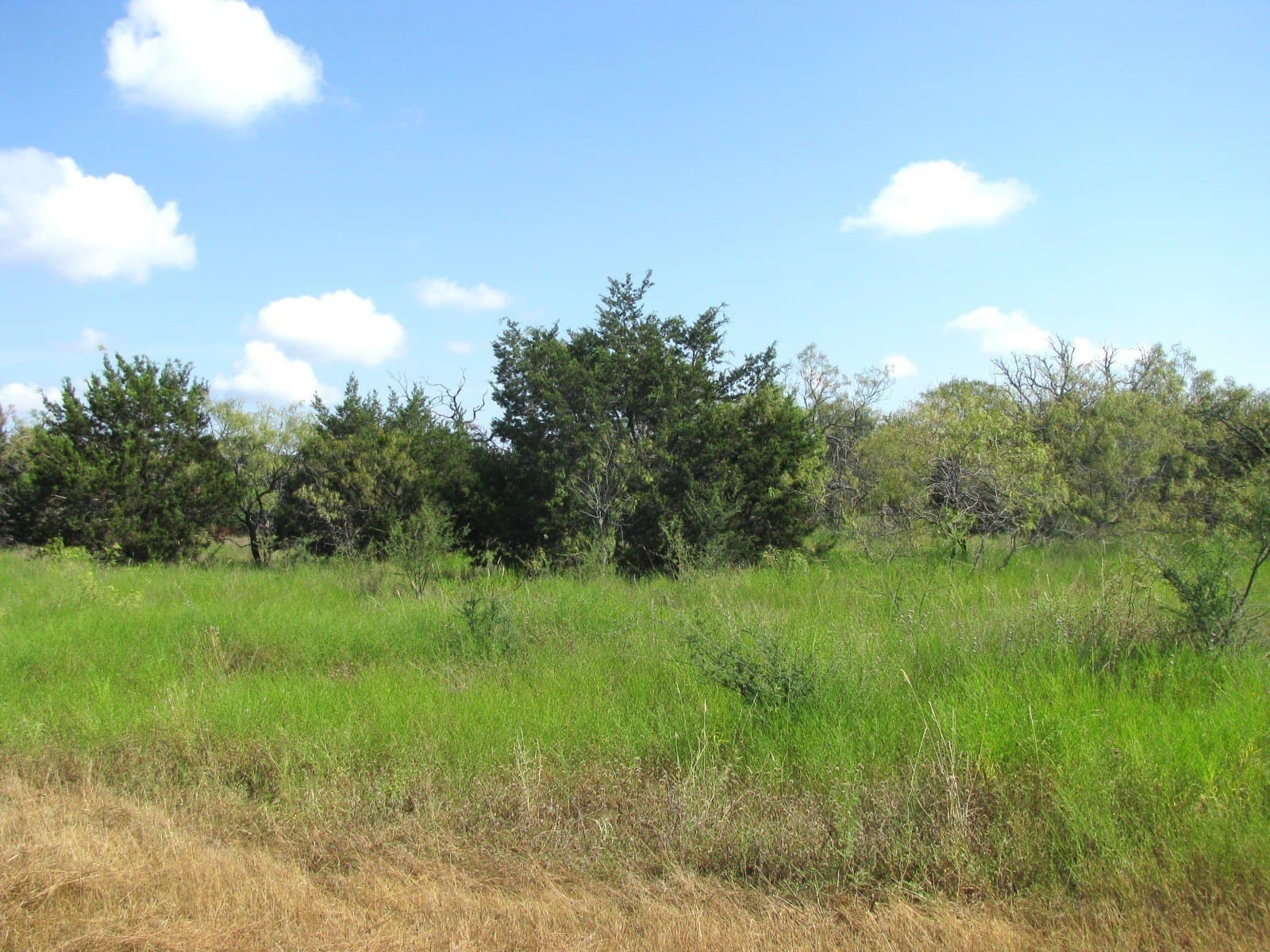 10.01 acres in Hamilton County gallery image 3
