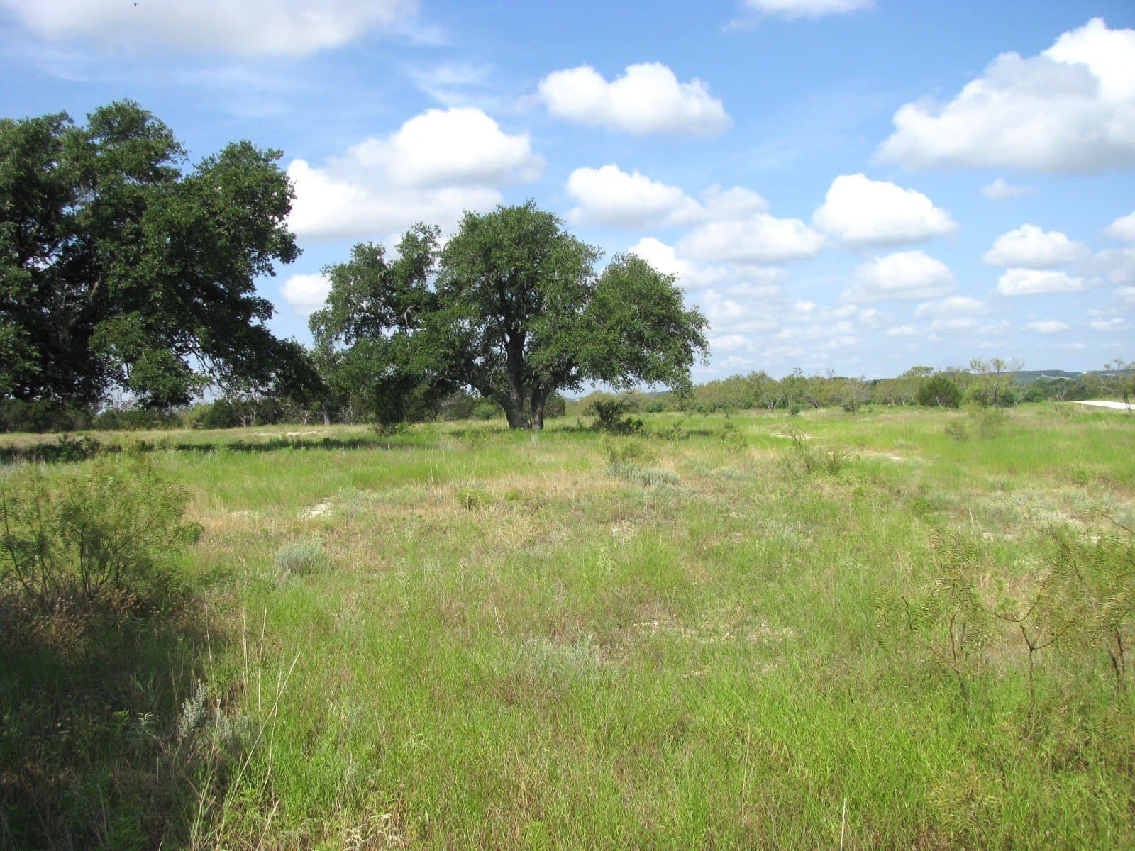10.01 acres in Hamilton County - photo 8