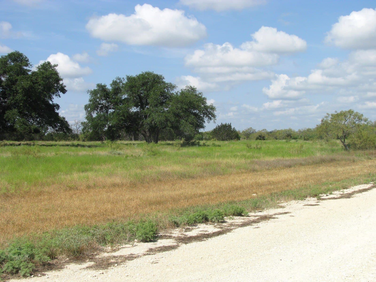 10.01 acres in Hamilton County - photo 21