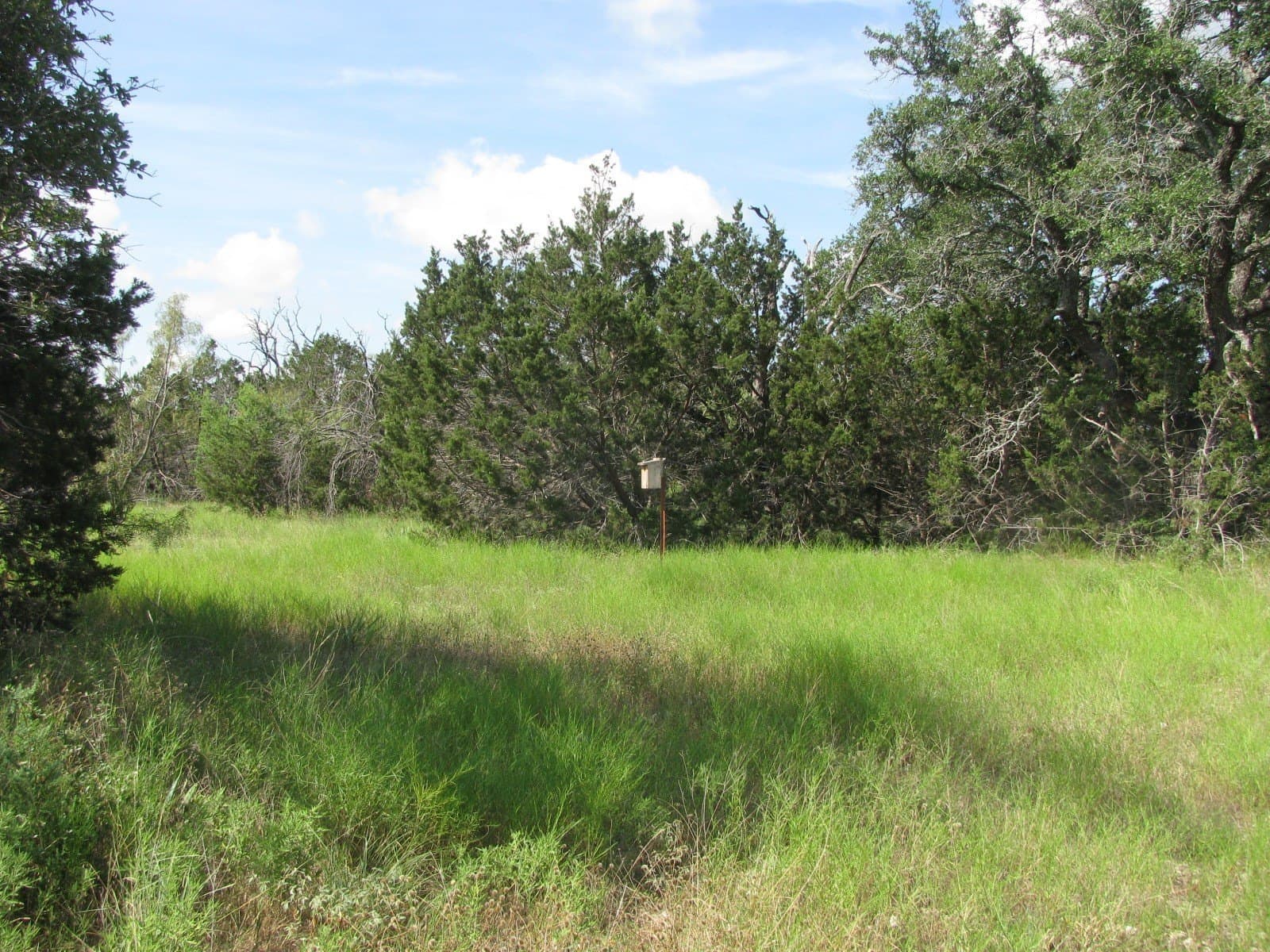 10.01 acres in Hamilton County - photo 11