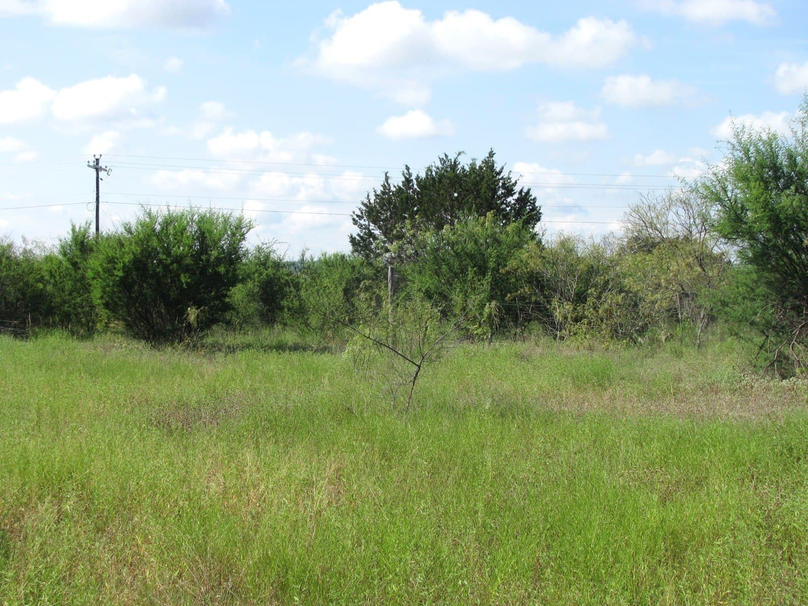 10.01 acres in Hamilton County - photo 16