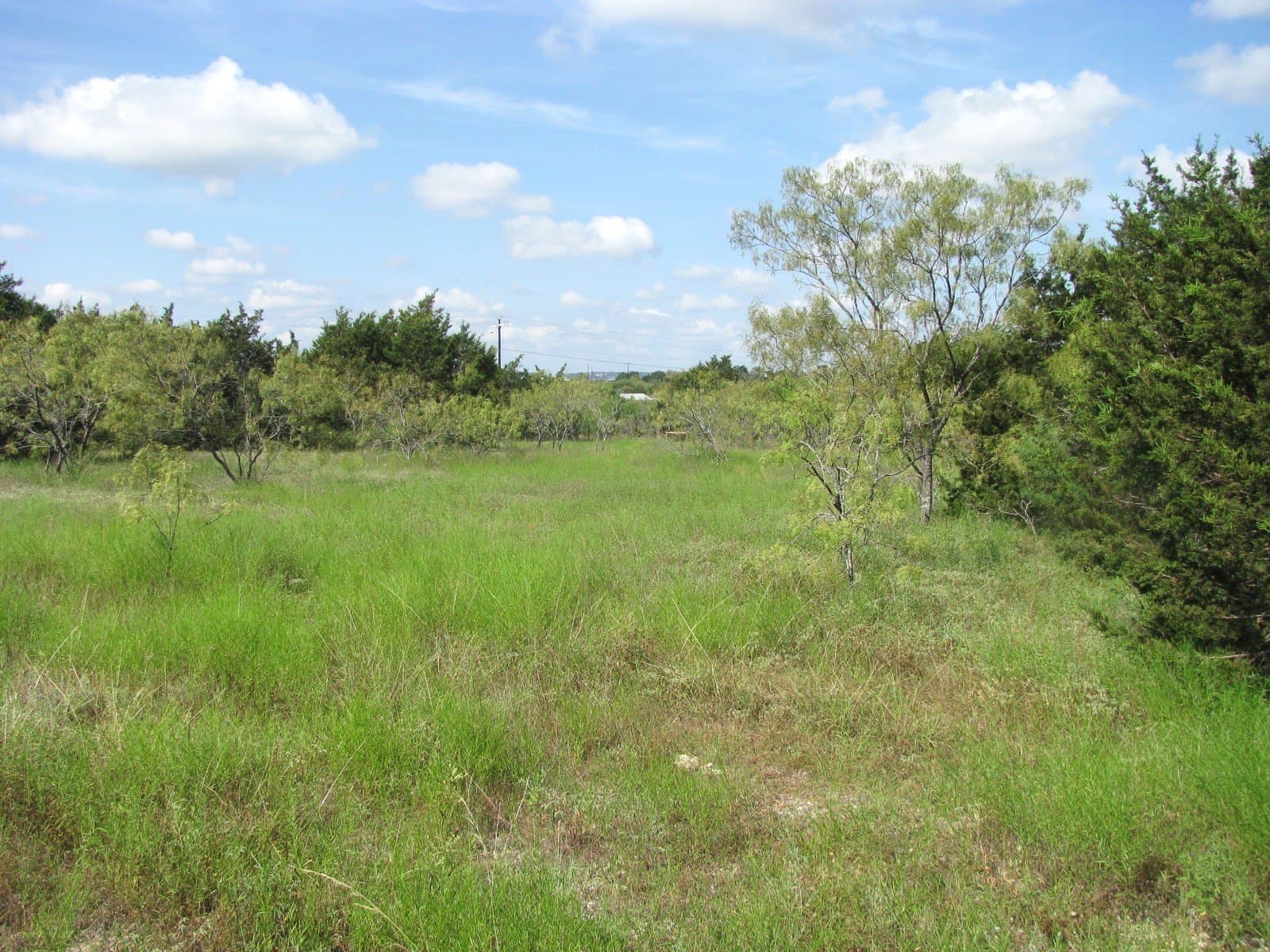 10.01 acres in Hamilton County - photo 12