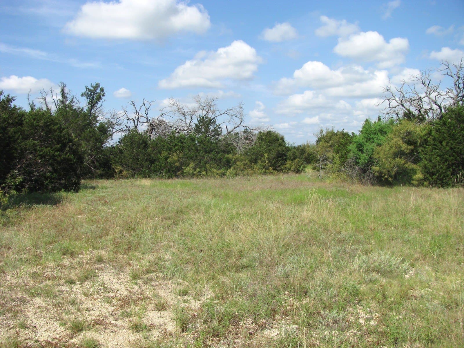 10.01 acres in Hamilton County - photo 14