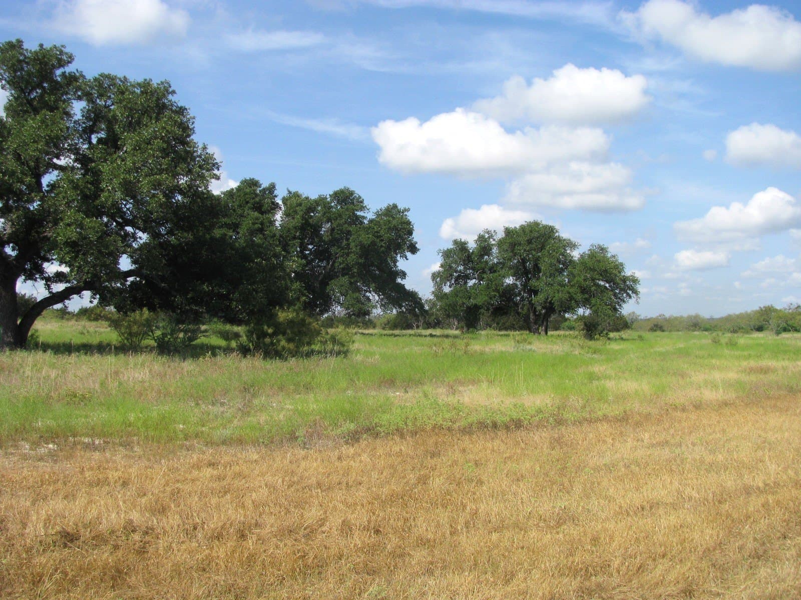 10.01 acres in Hamilton County - photo 7