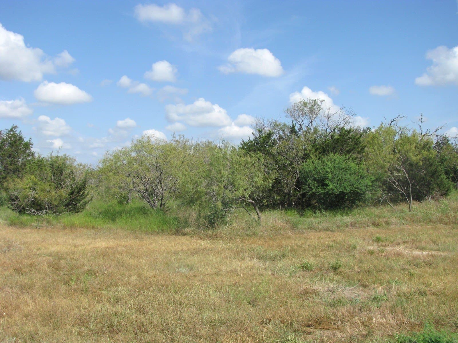 10.01 acres in Hamilton County gallery image 4