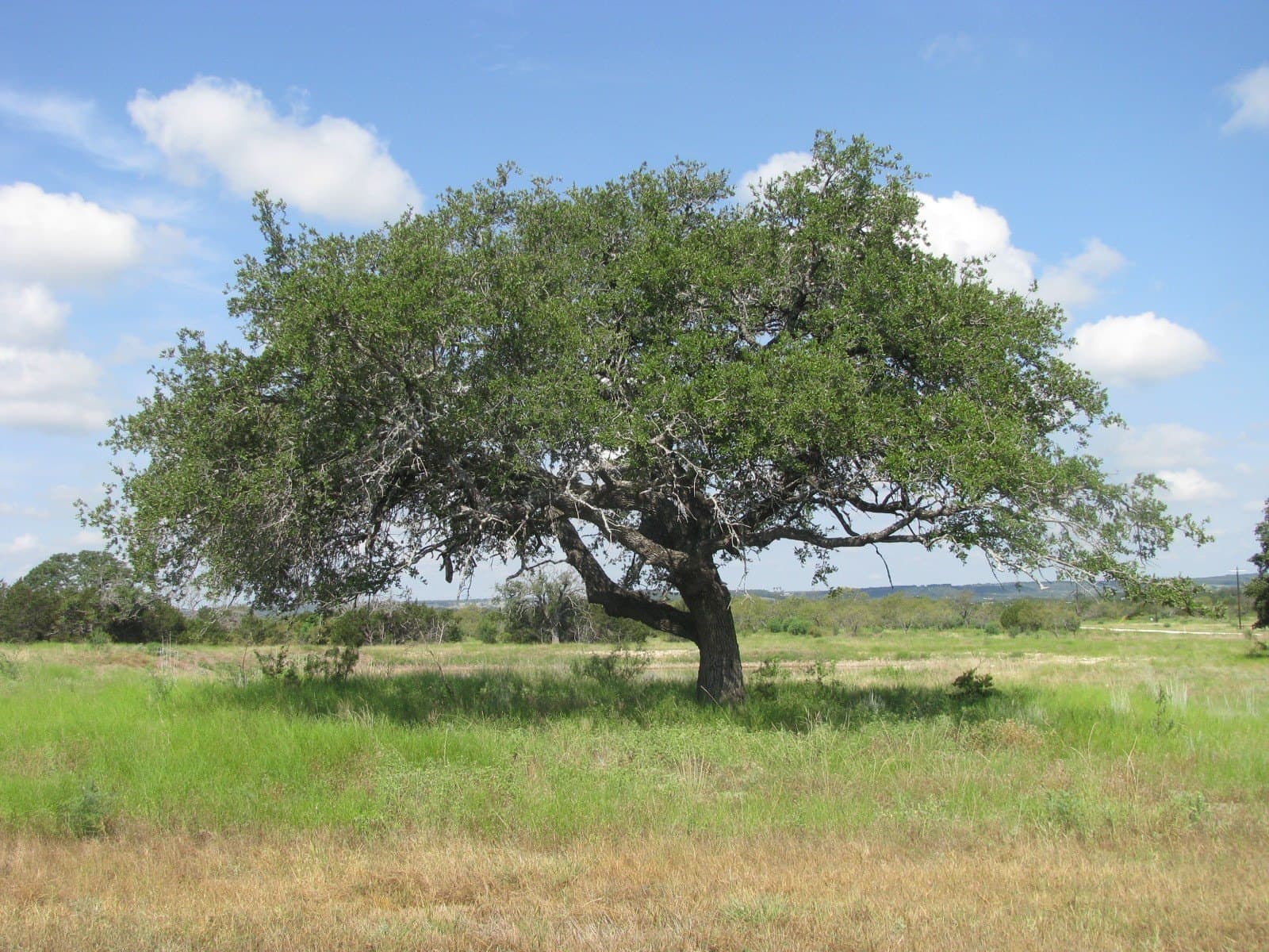 10.01 acres in Hamilton County - photo 6