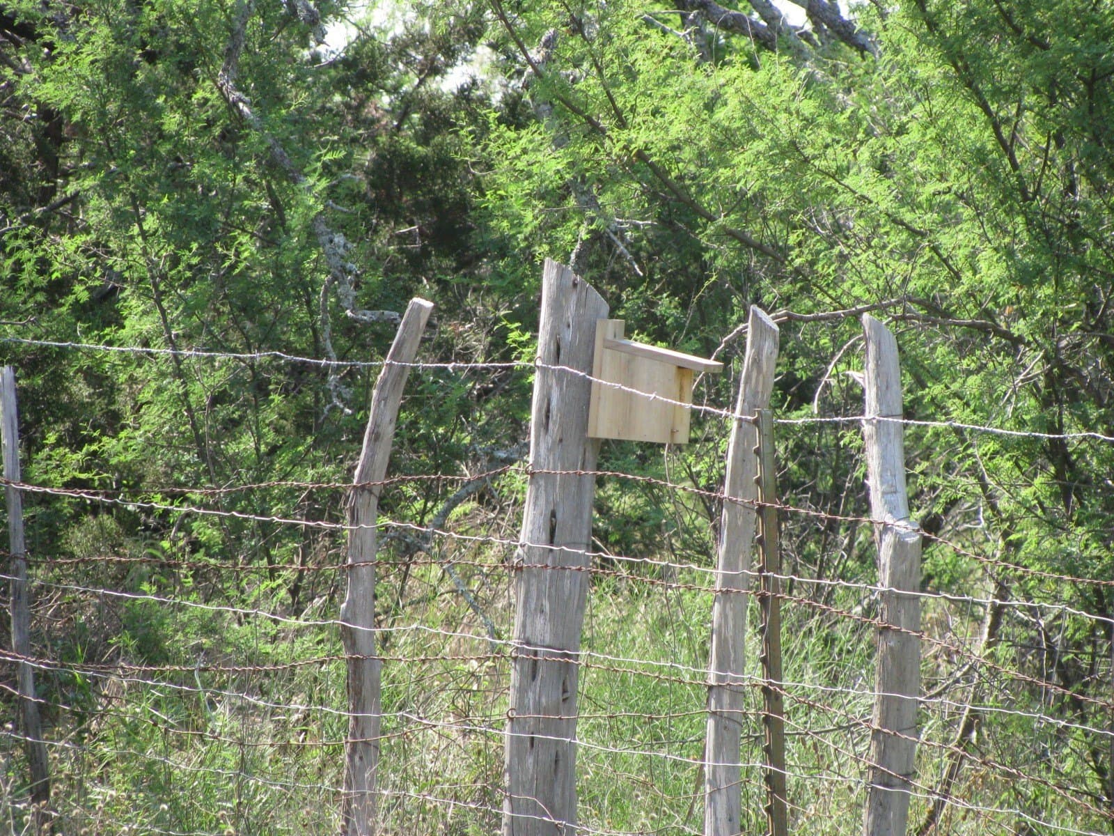 10.01 acres in Hamilton County - photo 17