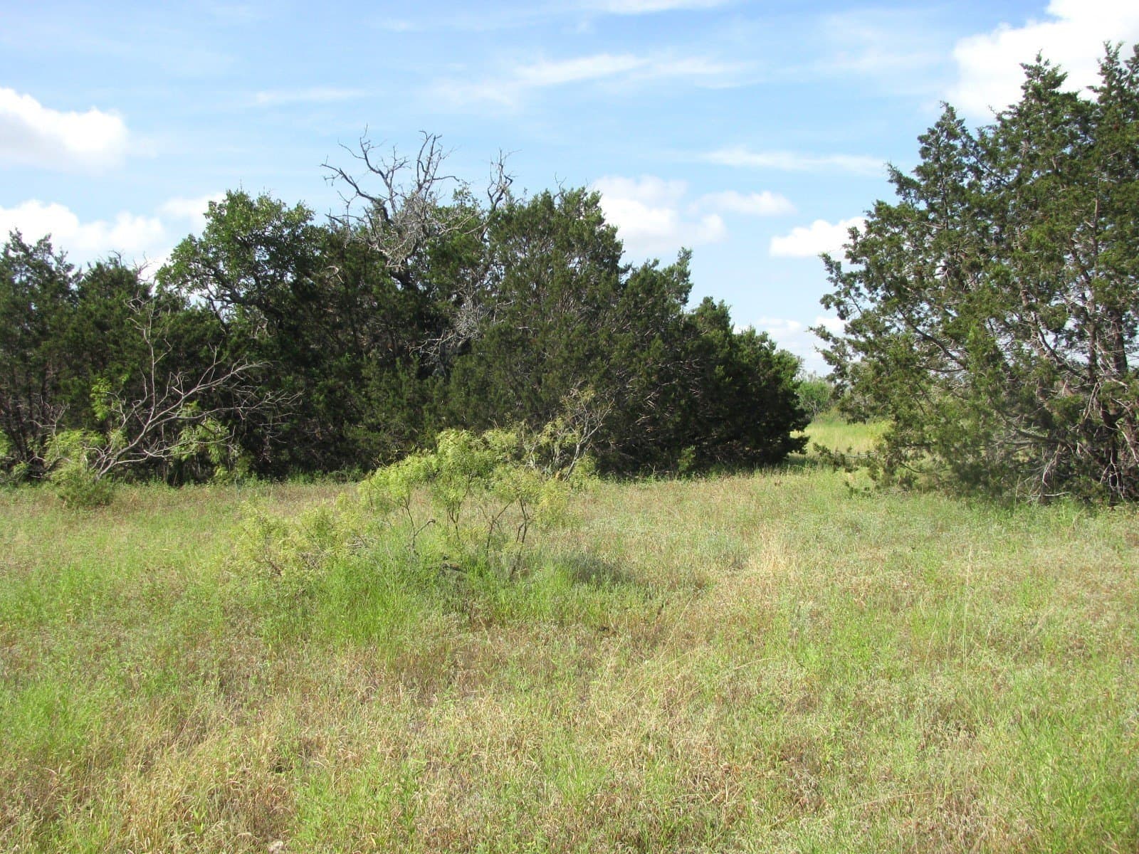 10.01 acres in Hamilton County - photo 15