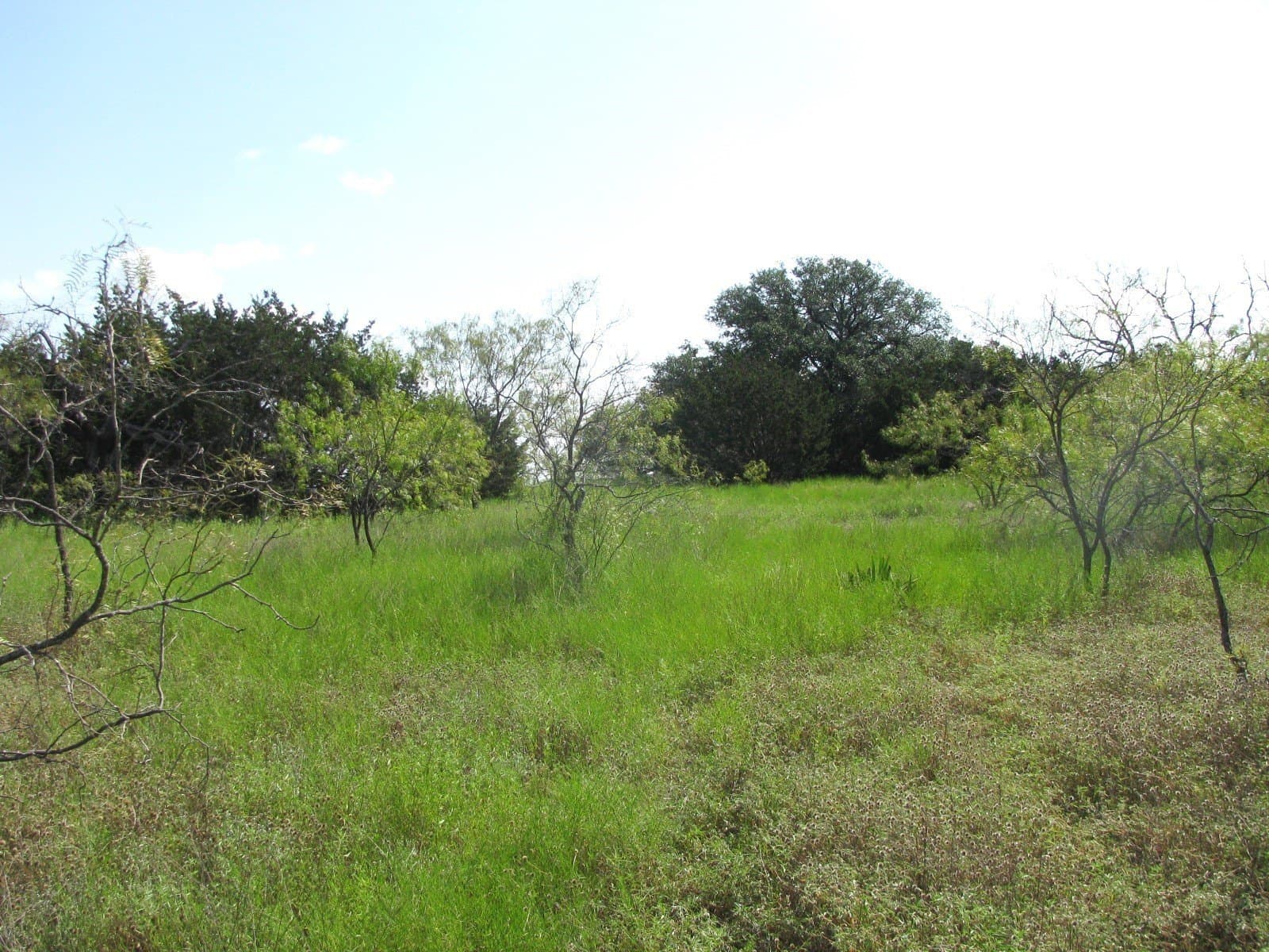 10.01 acres in Hamilton County - photo 13