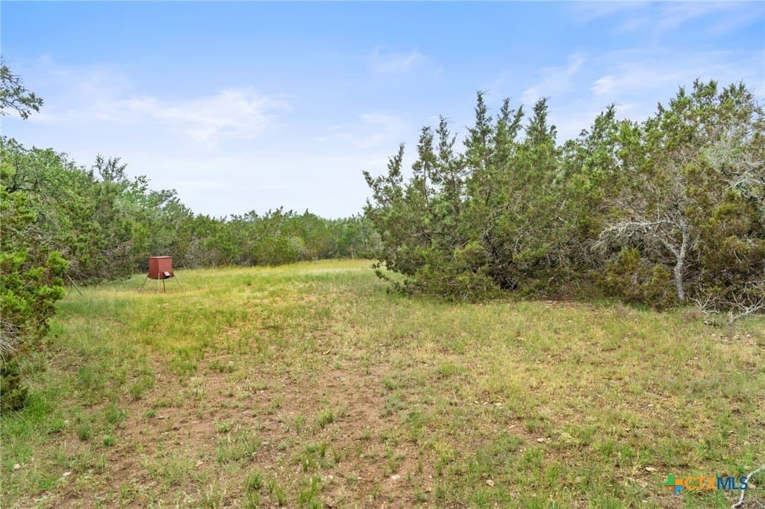 40 acres in Gillespie County gallery image 4