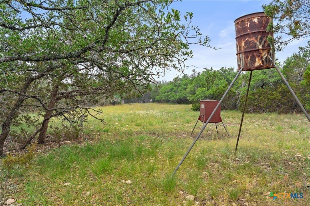40 acres in Gillespie County gallery image 2