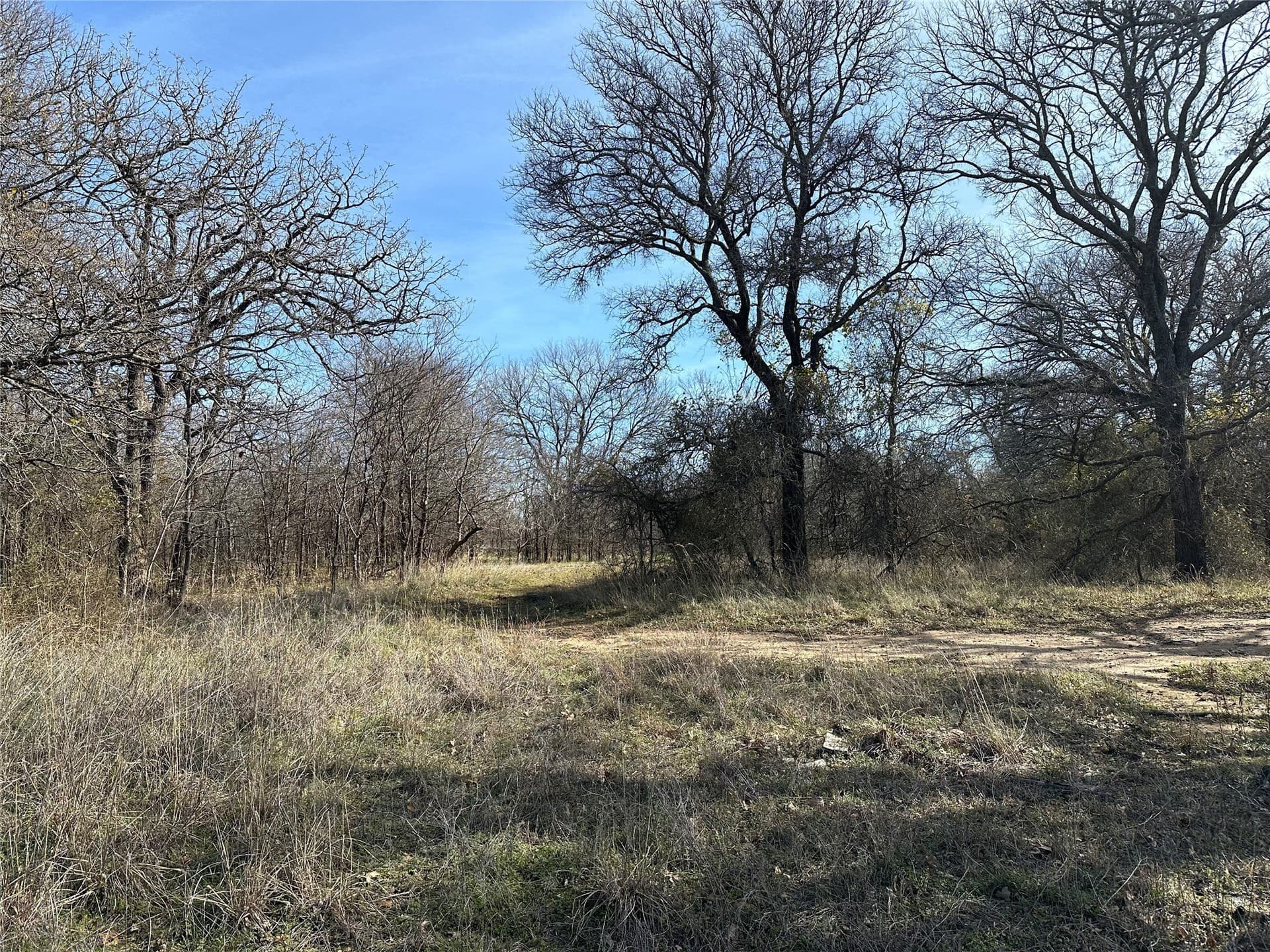 1.56 acres in Denton County - photo 21