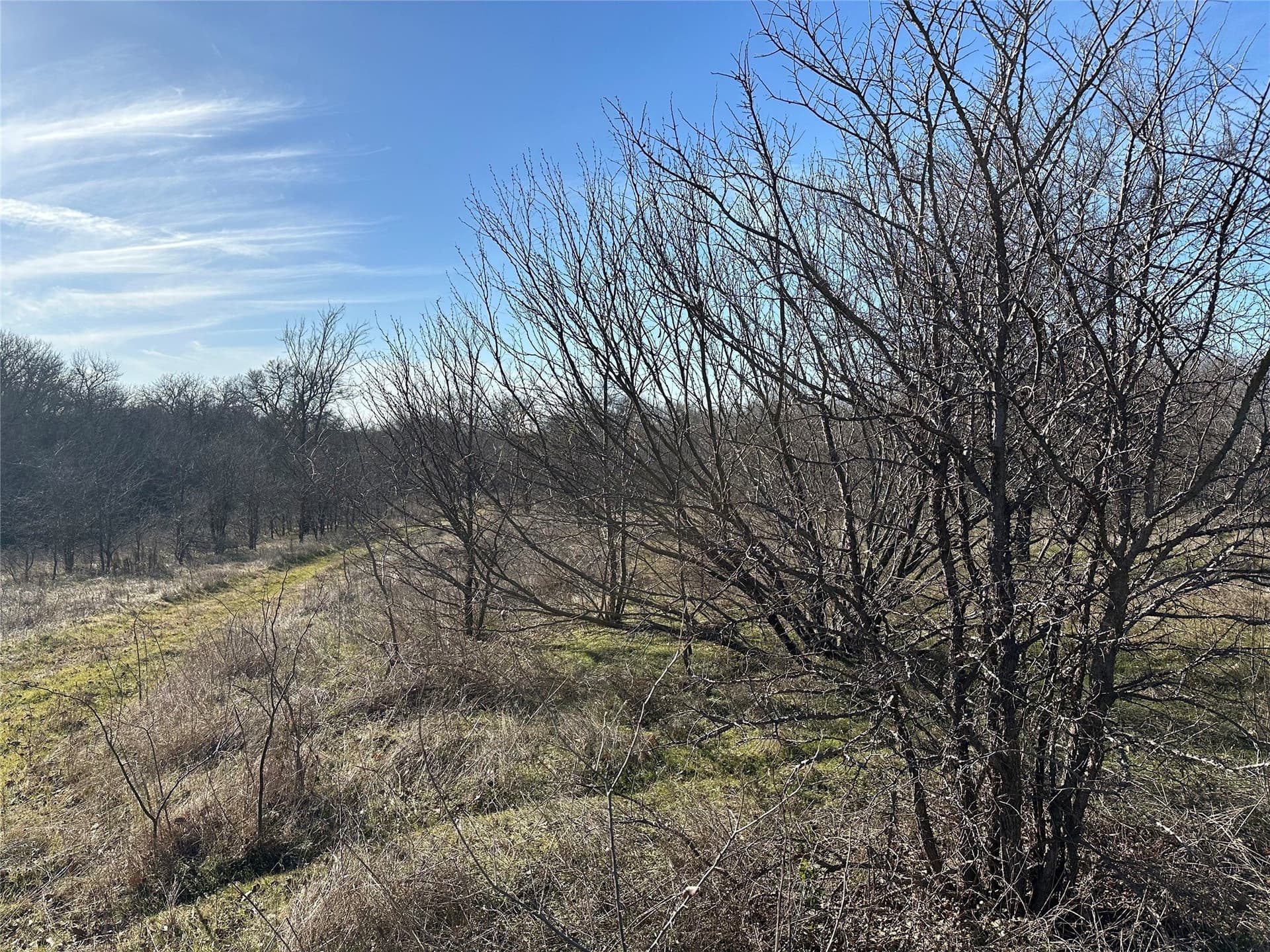 1.56 acres in Denton County - photo 17