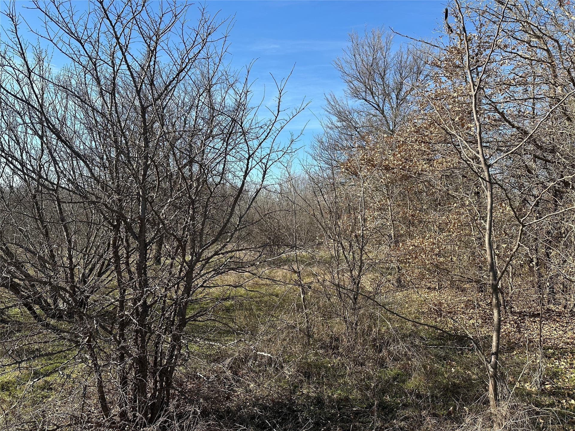 1.56 acres in Denton County - photo 19