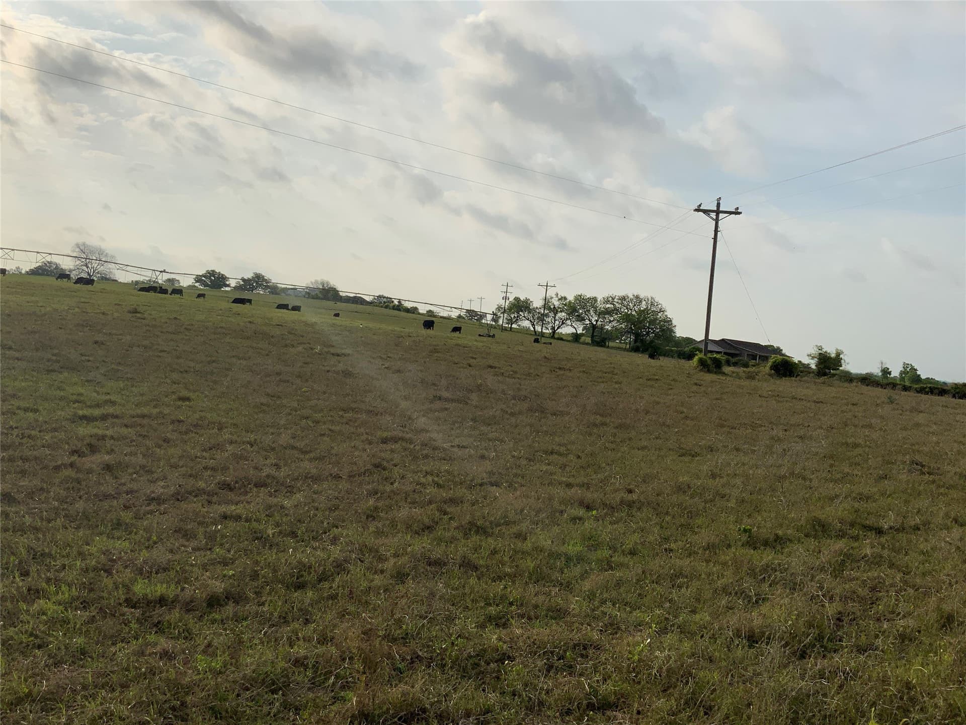 8.5 acres in Comanche County - photo 6