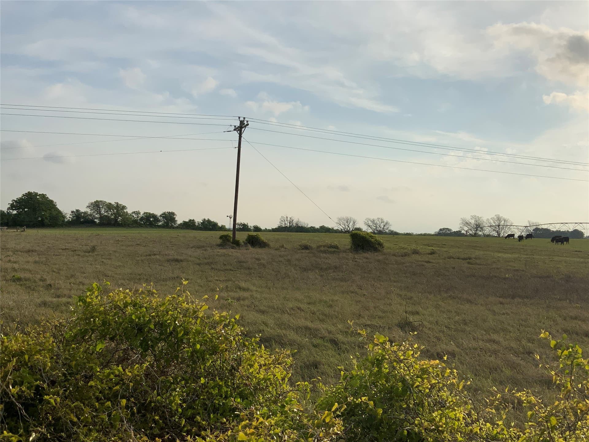 8.5 acres in Comanche County gallery image 4