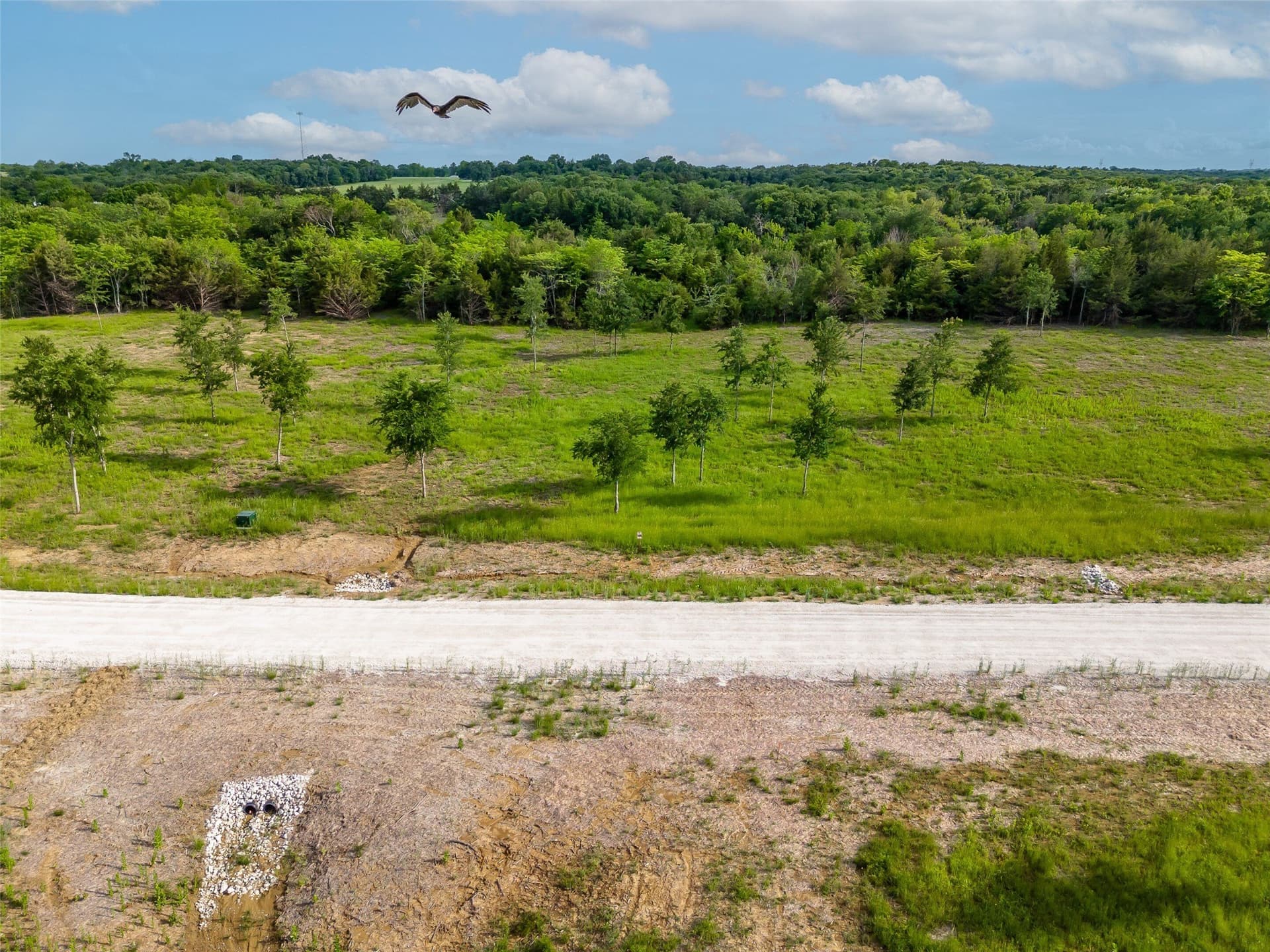 1.03 acres in Fannin County - photo 9