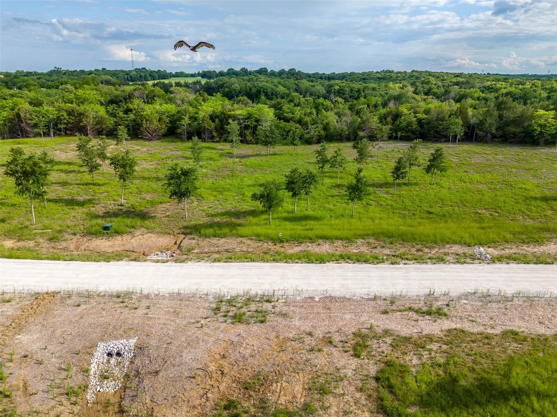 1.03 acres in Fannin County - photo 7
