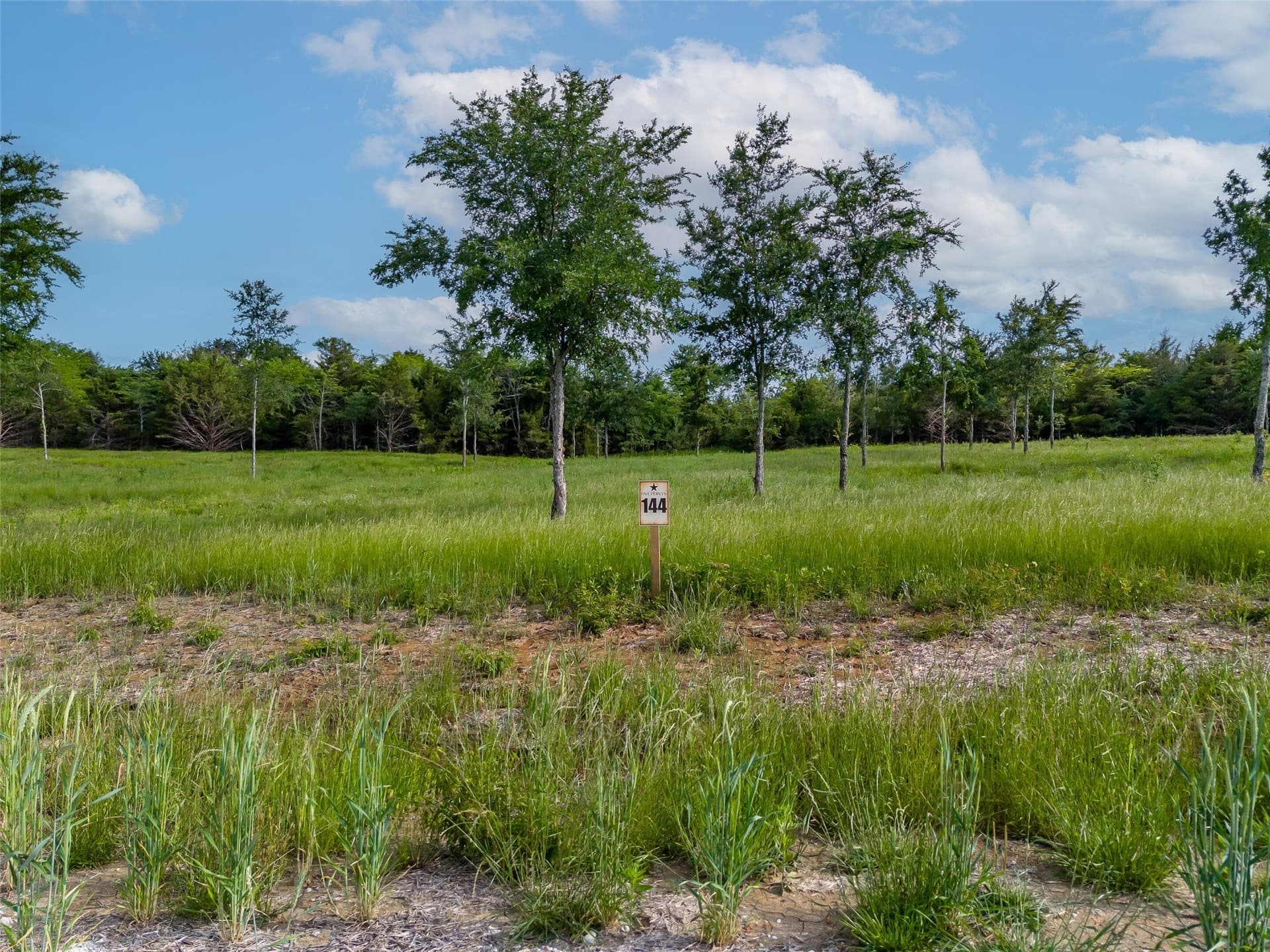 1.03 acres in Fannin County - photo 6