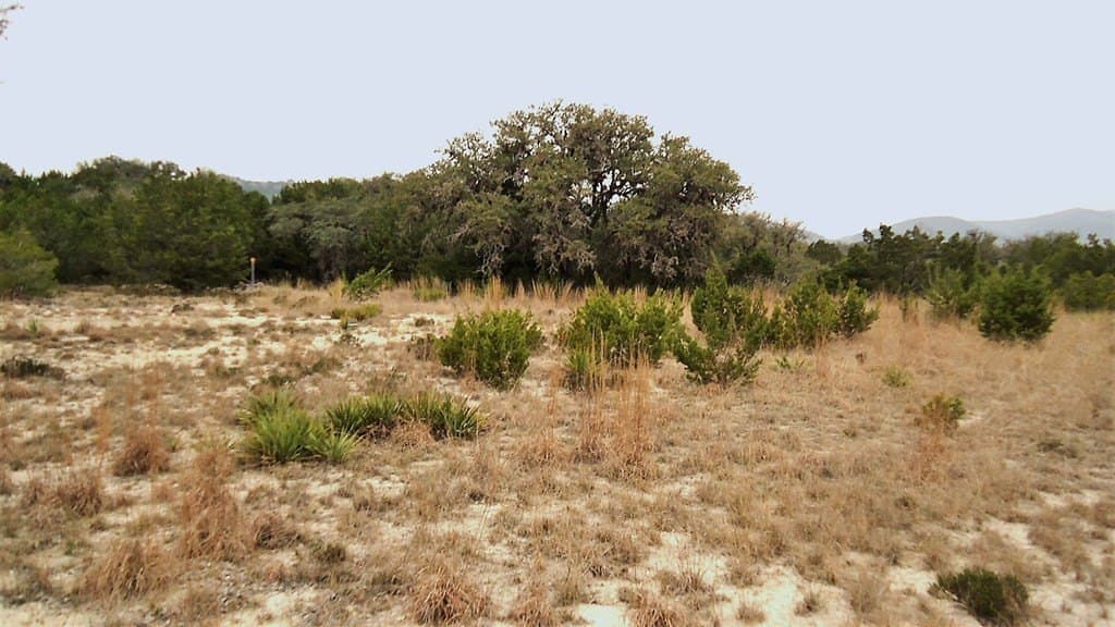 2.72 acres in Real County - photo 27