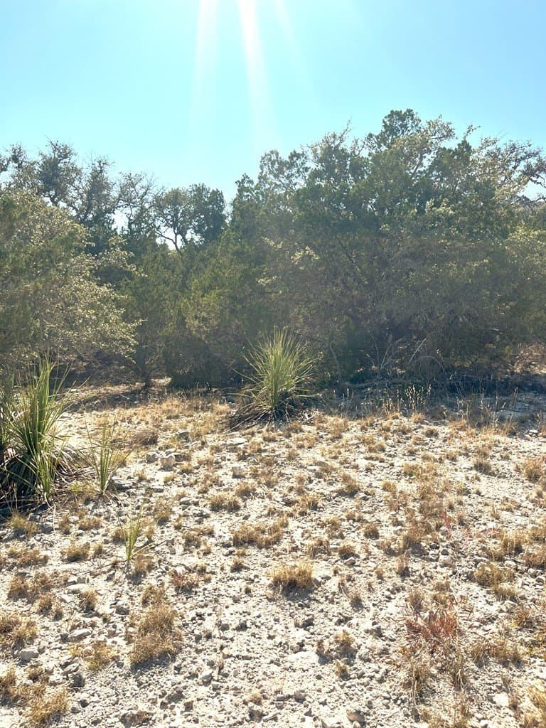 2.72 acres in Real County - photo 6