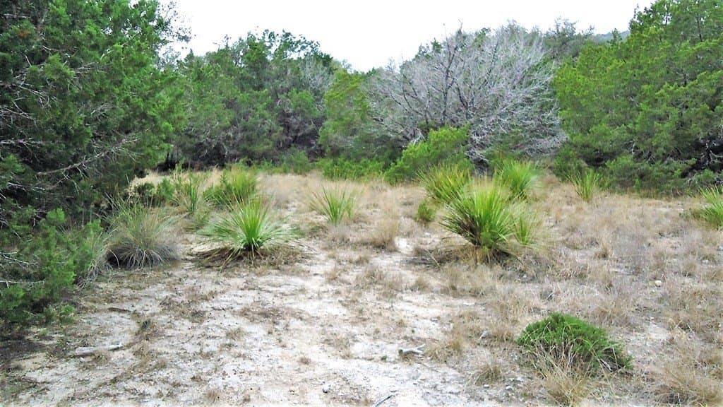 2.72 acres in Real County - photo 29
