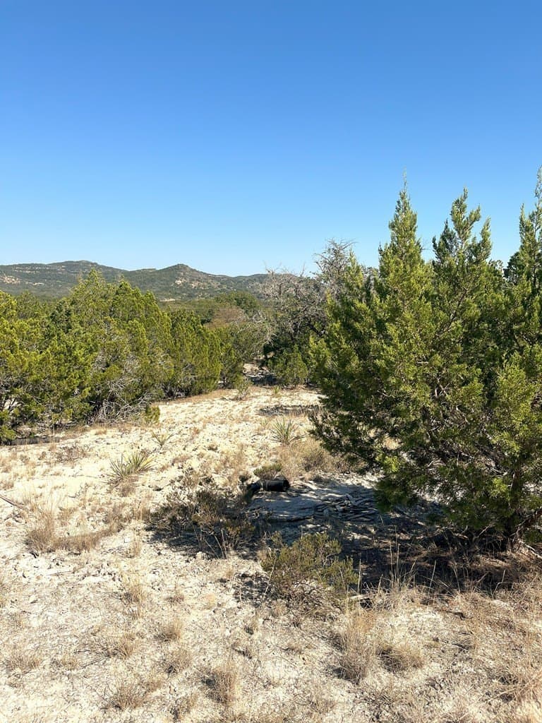 2.72 acres in Real County - photo 12