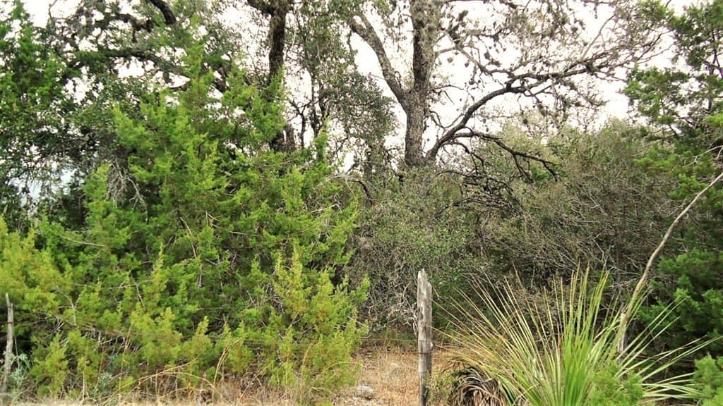 2.72 acres in Real County - photo 16