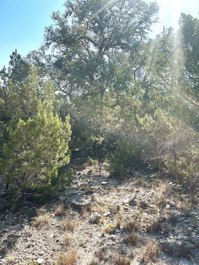 2.72 acres in Real County - photo 3