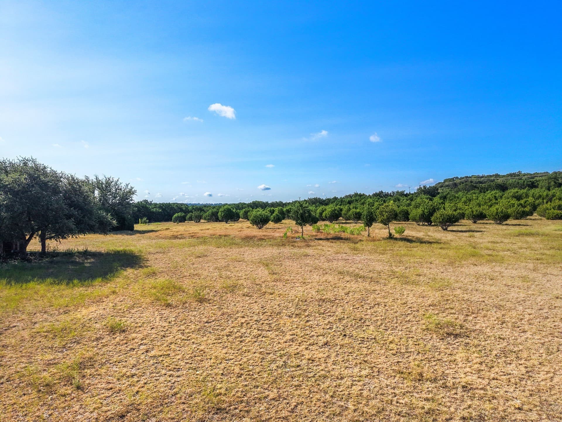 11.48 acres in Bell County - photo 30