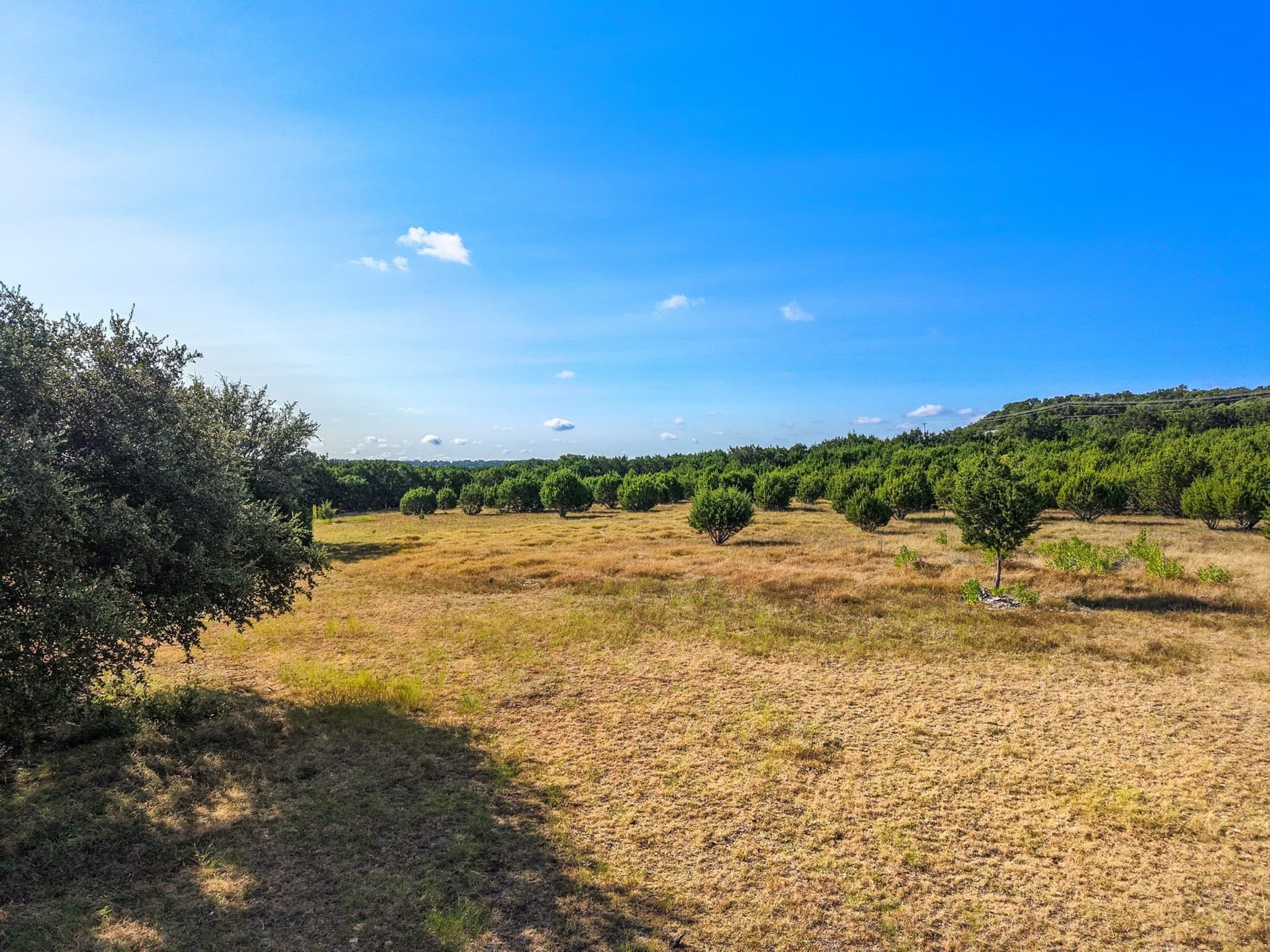 11.48 acres in Bell County - photo 28
