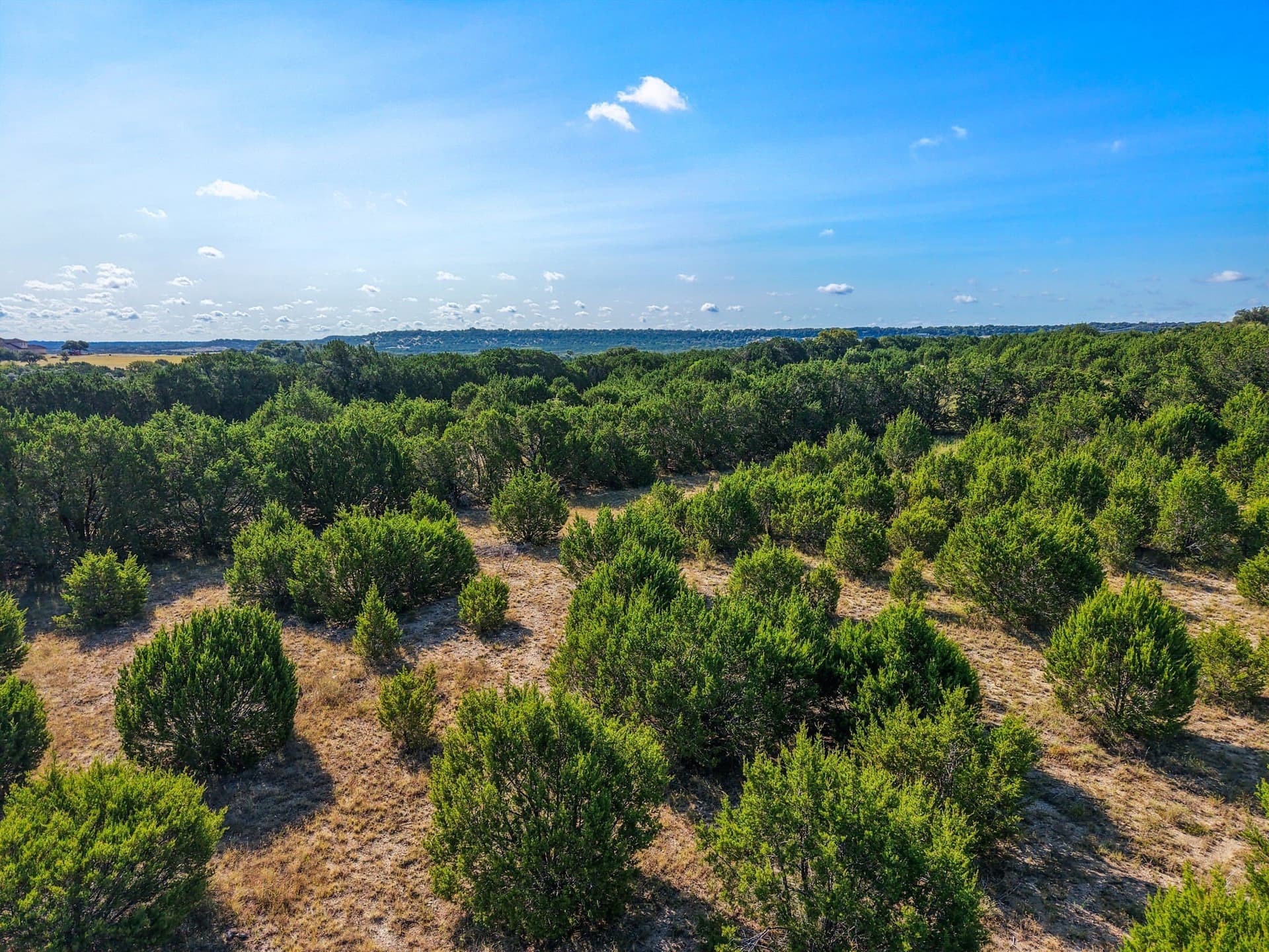 11.48 acres in Bell County - photo 31