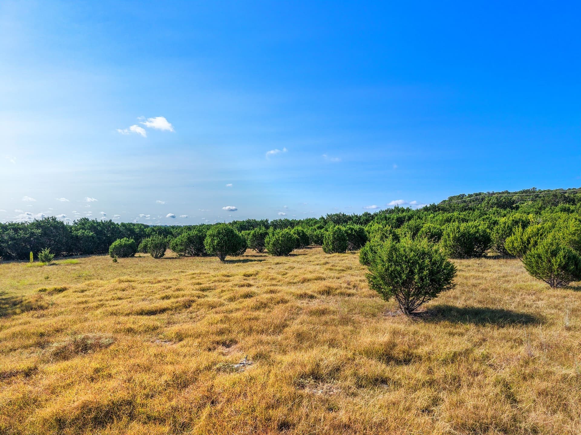 11.48 acres in Bell County - photo 29