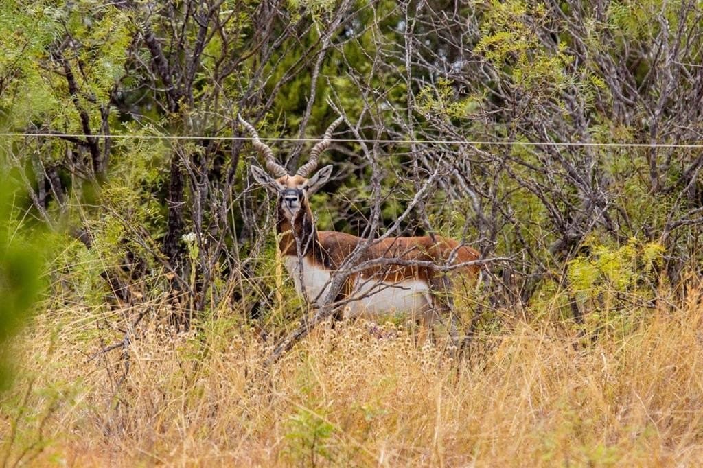 40 acres in Hamilton County